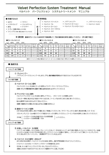 パーフェクションシステムトリートメント　マニュアル 20250416のサムネイル